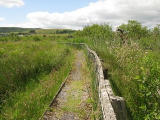 Gors Llwyn